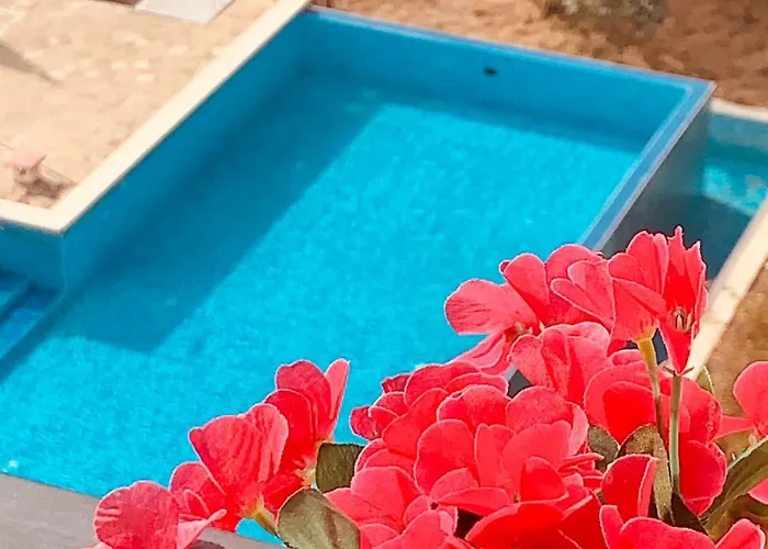 Daire студия мир авангарда