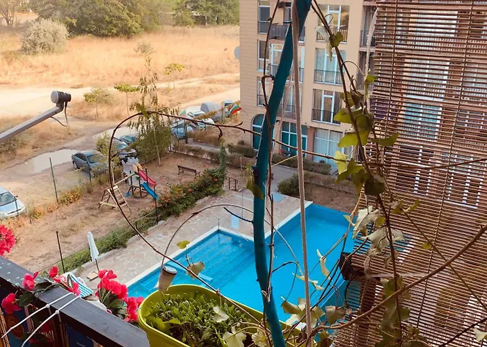 Daire студия мир авангарда *