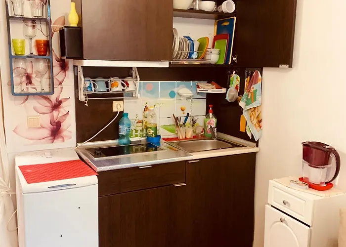 студия мир авангарда Appartement Sunny Beach